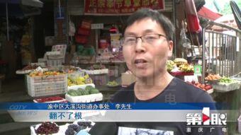 重庆上游新闻爆料APP,聚焦城市热点，传递市民声音  第3张