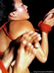 娱乐大爆料钟丽缇视频,娱乐大爆料背后的惊人真相 第1张 娱乐大爆料钟丽缇视频,娱乐大爆料背后的惊人真相 第1张